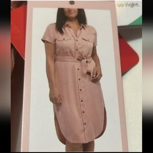 Teddy Rose Tencel Button-Down Shirt Dress